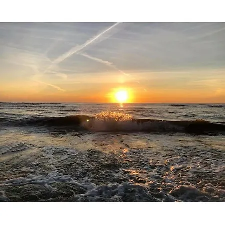 Dopheide 12 Comfortable * Julianadorp