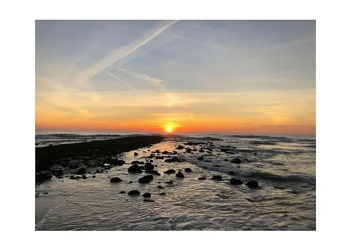 Dopheide 12 Comfortable *