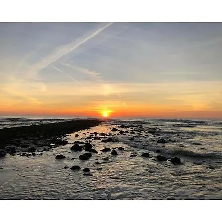 Dopheide 12 Comfortable *